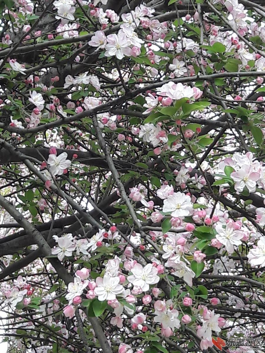 20190327_090607.jpg