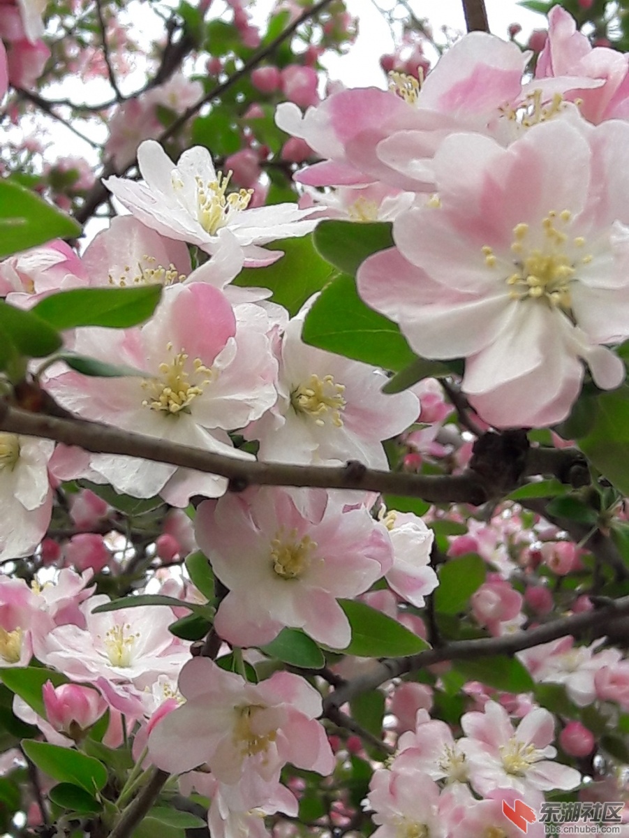 20190327_090520.jpg