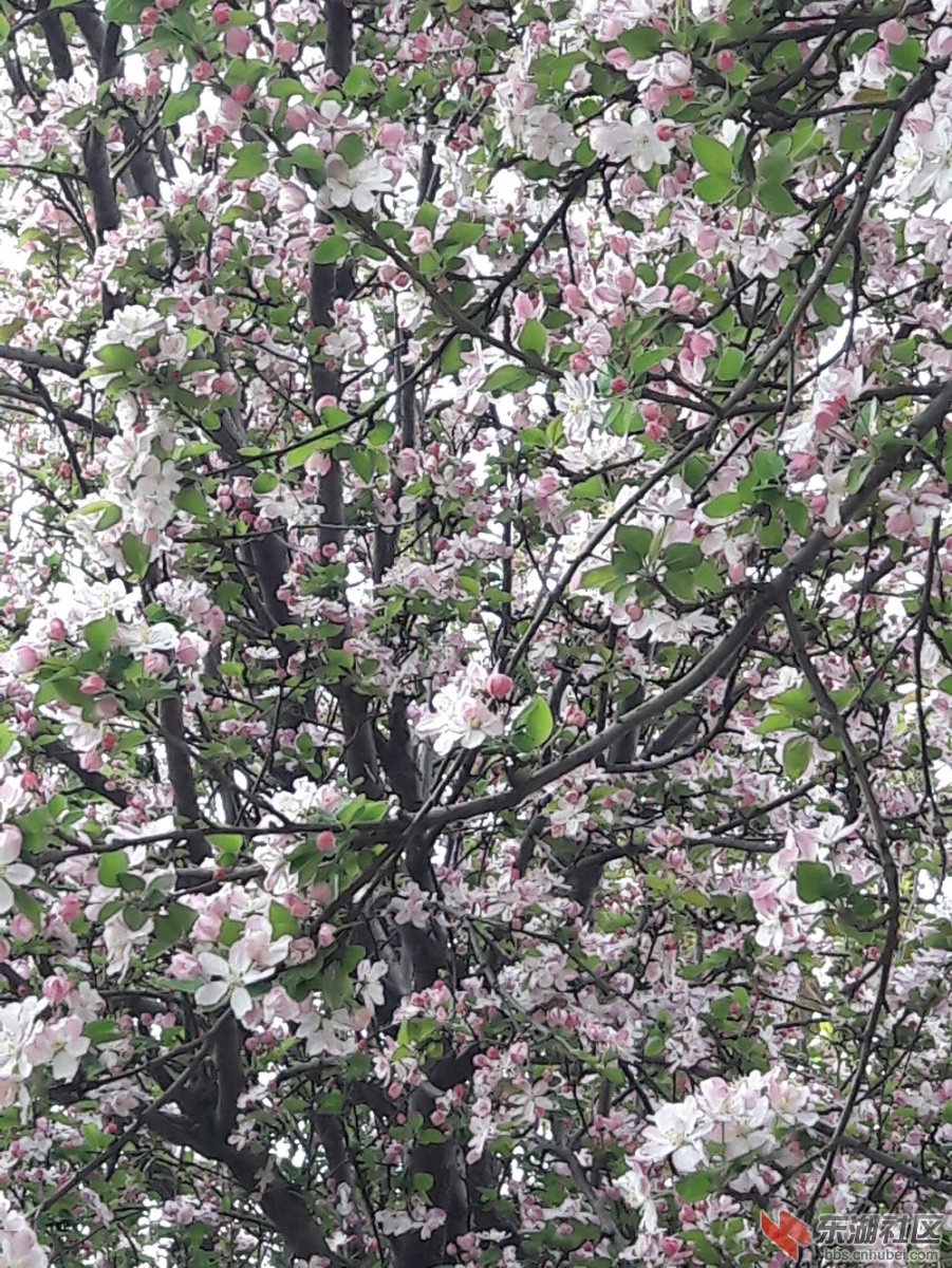 20190327_090618.jpg