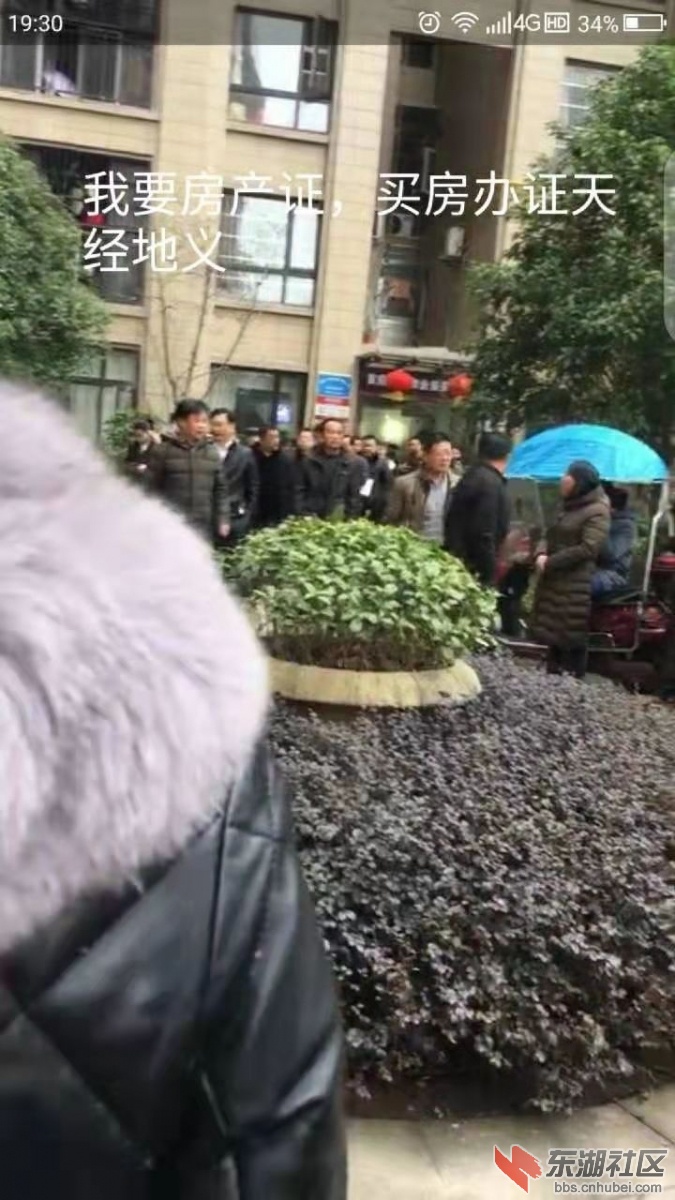 微信图片_20190309161611.jpg
