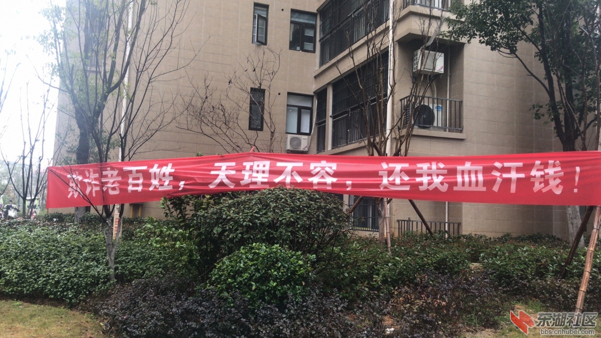 微信图片_20190228140952.jpg