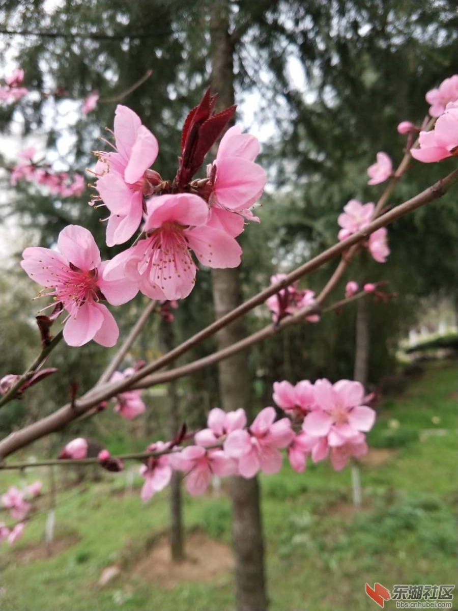 微信图片_20190327170148.jpg
