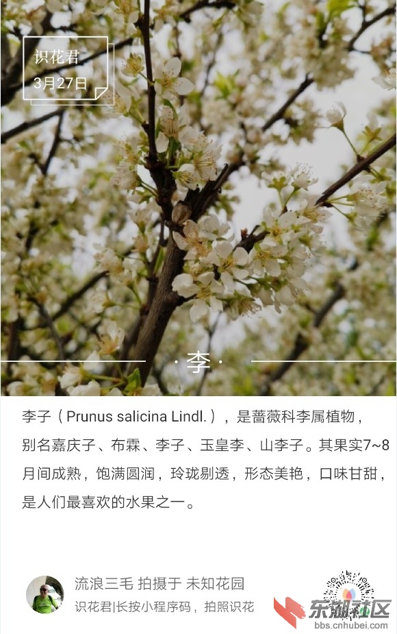 李01.jpg
