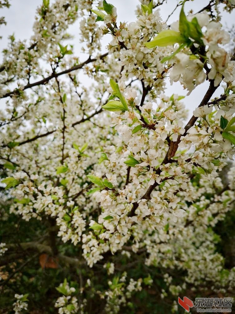 李05.jpg