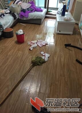 漫到客厅