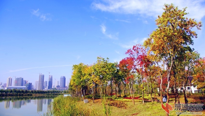 _IGP7830_conew1.jpg
