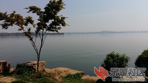 20190401_142233_副本.jpg