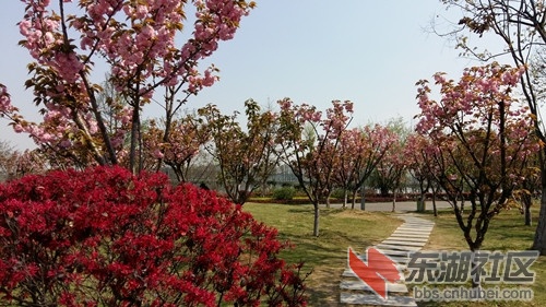 20190401_140807_副本.jpg
