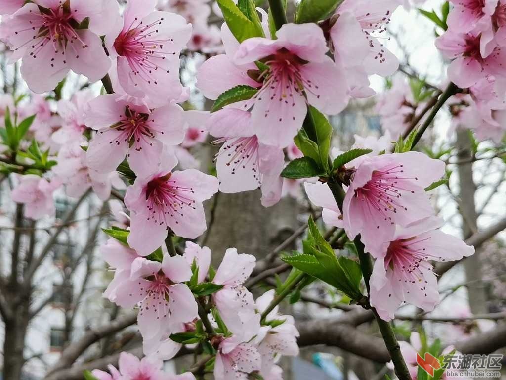IMG_20190402_105922.jpg