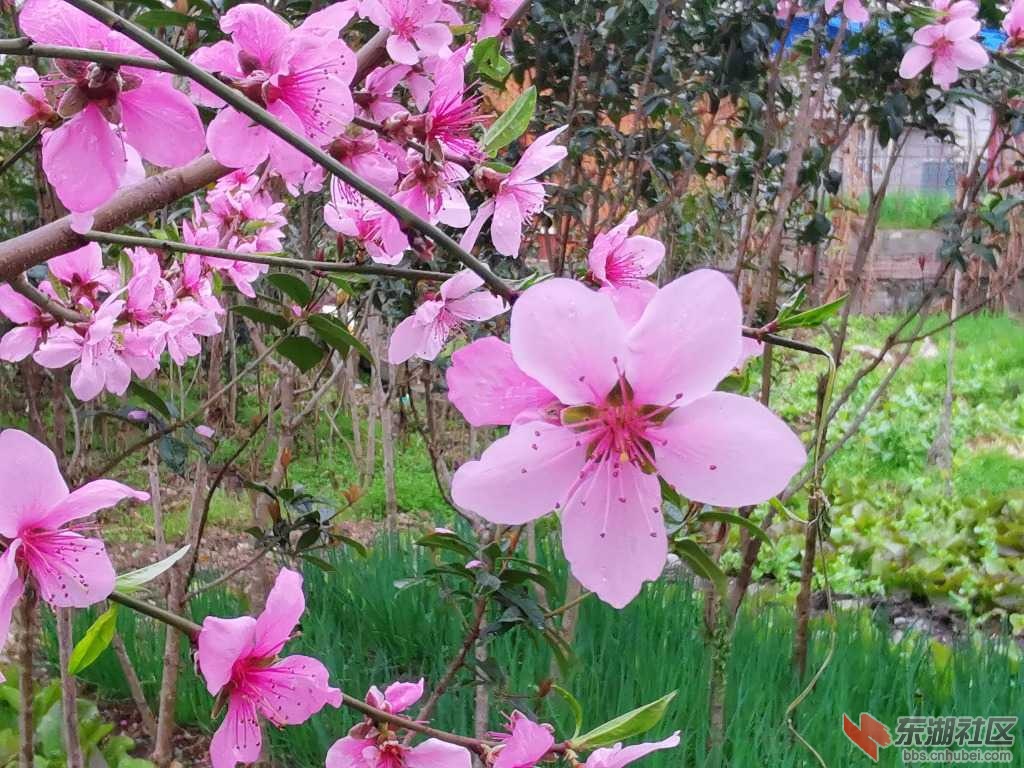 IMG_20190402_091833.jpg