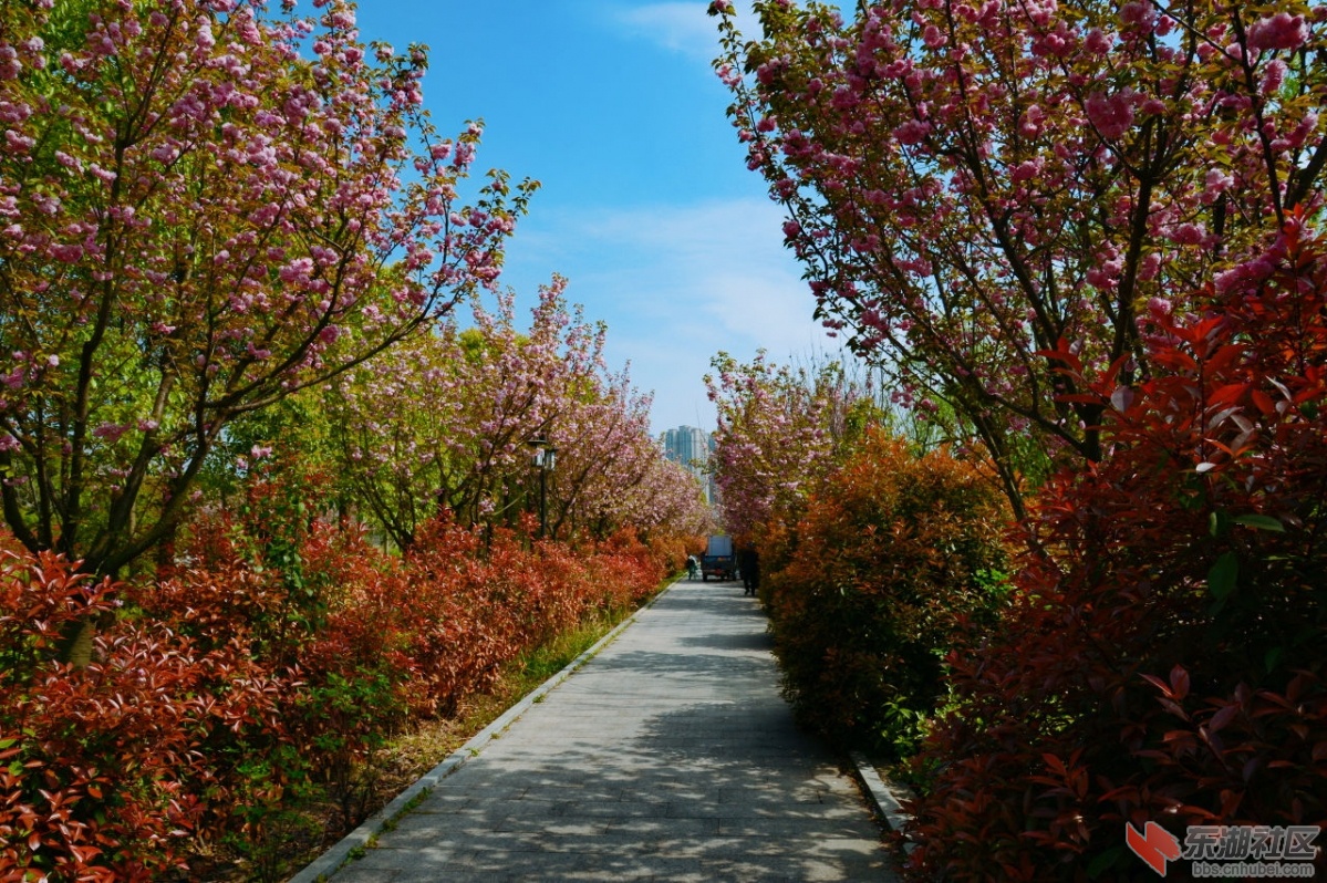 DSC_1885.jpg