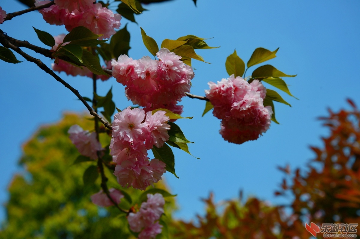 DSC_1883.jpg
