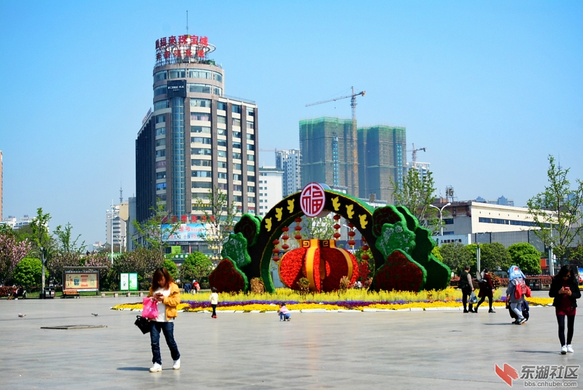 DSC_4105.jpg