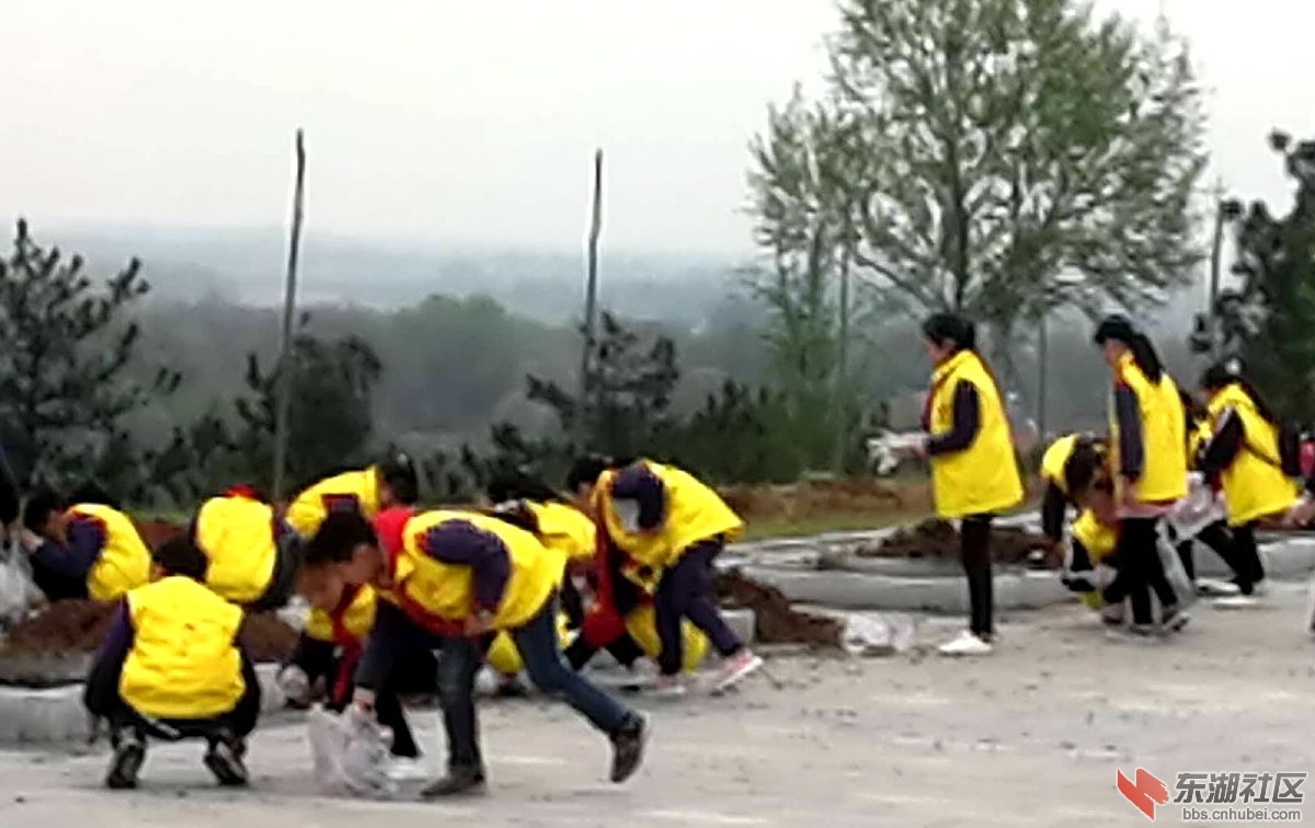 微信图片_20190406200008.jpg