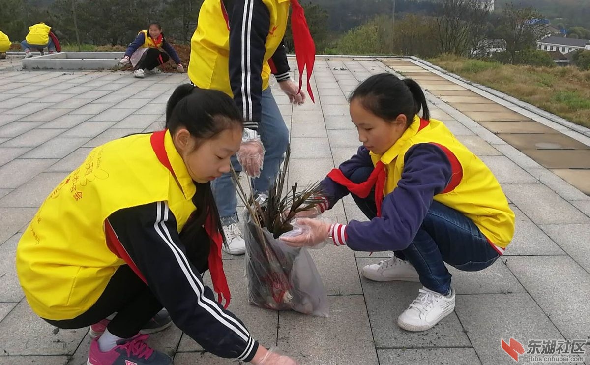 微信图片_20190406200029.jpg
