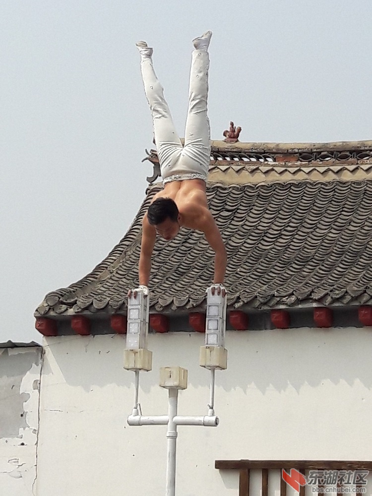 20190406_110520.jpg