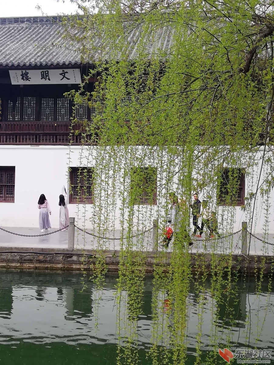 荆门文明湖_20190407075643.jpg