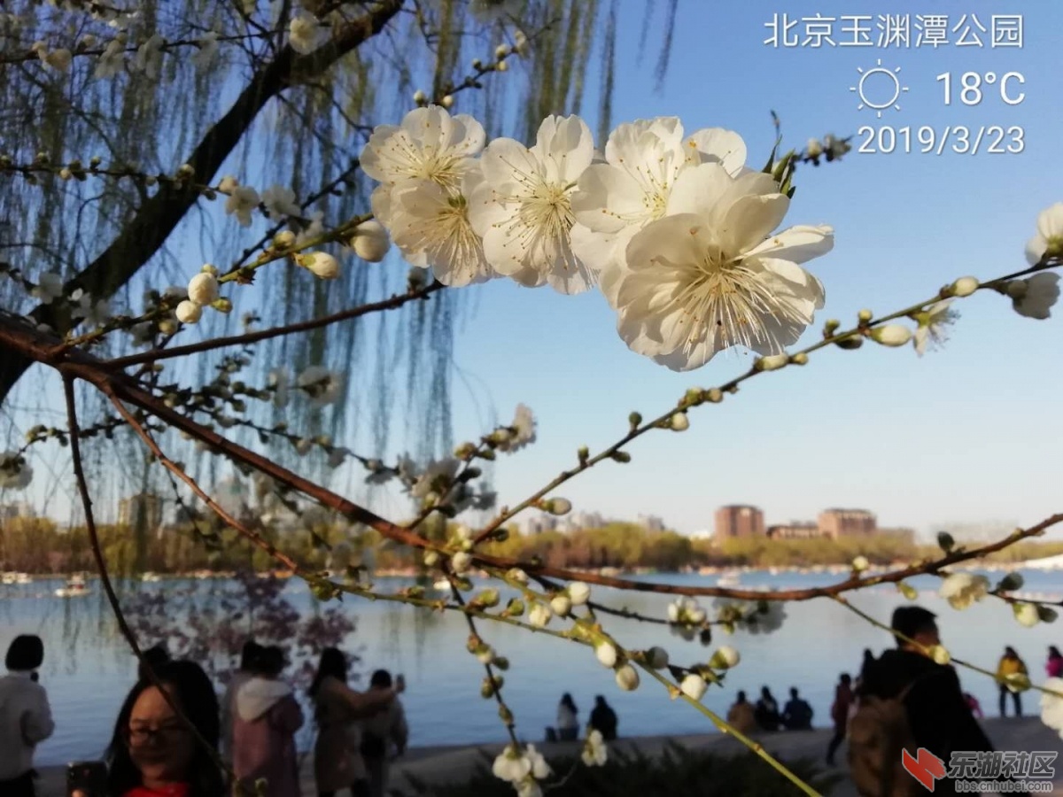 北京玉渊潭公园.jpg