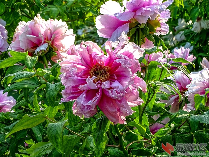 13    DSC03367_副本.jpg