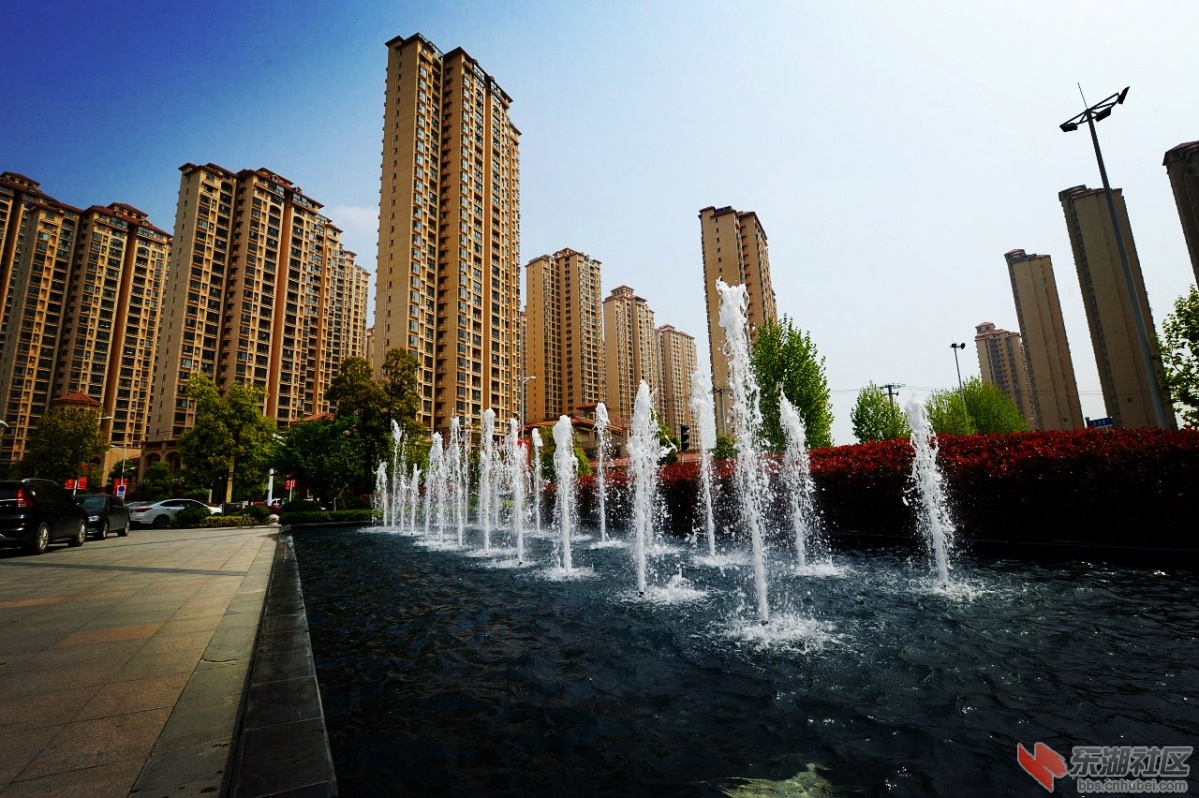 DSC_1978.jpg