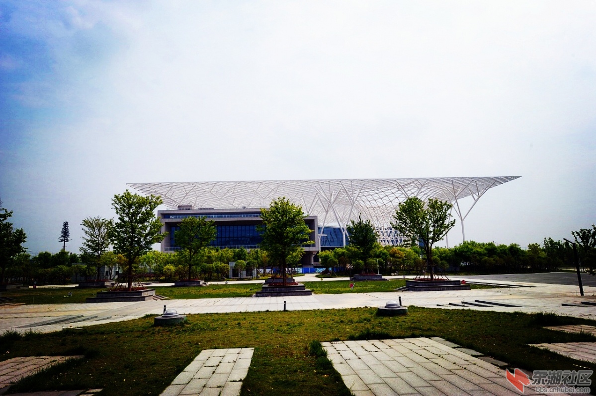 DSC_2010.jpg