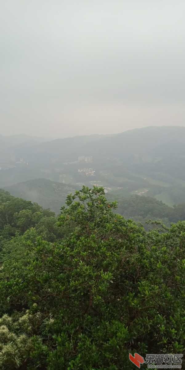 IMG20190414133532.jpg
