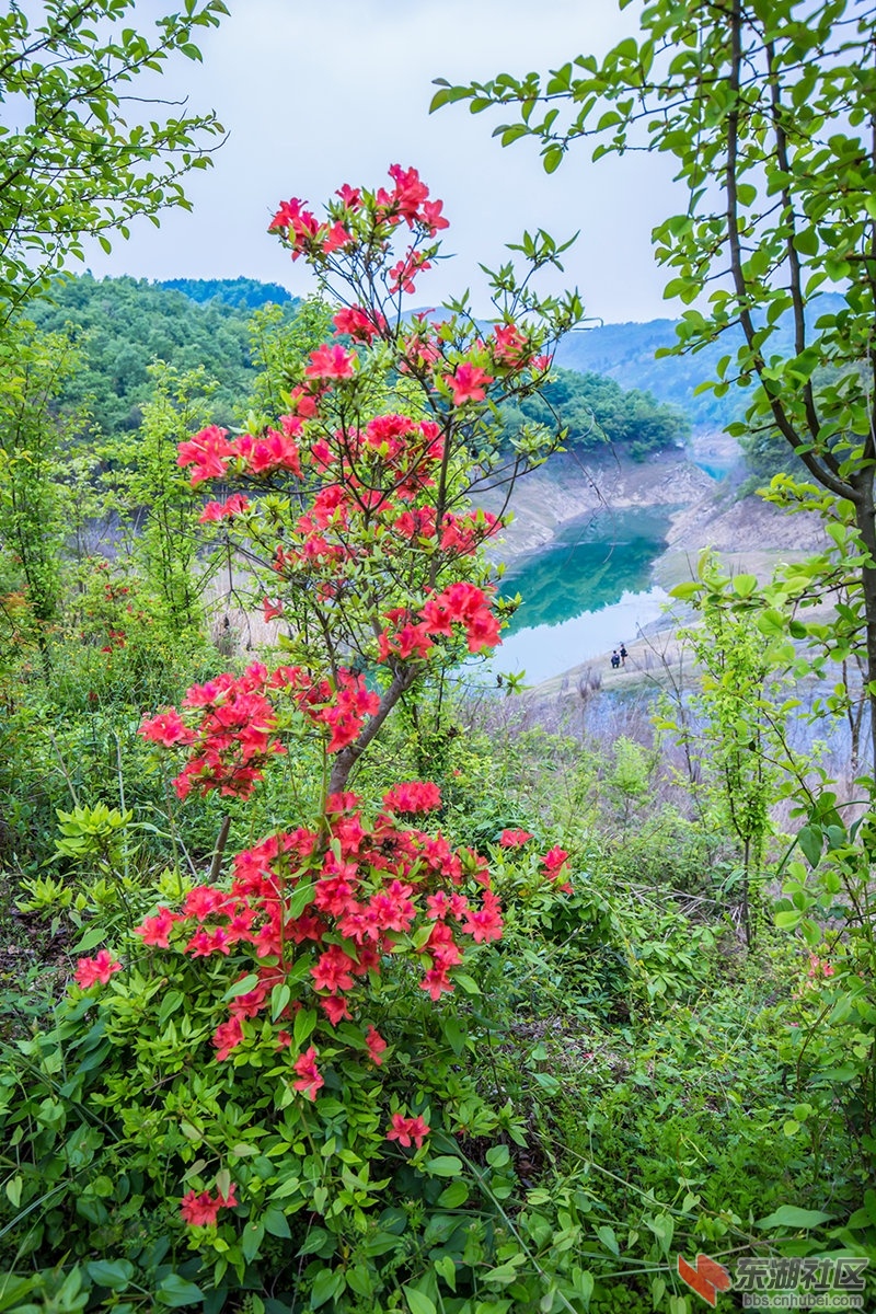 IMG_5799_副本.jpg