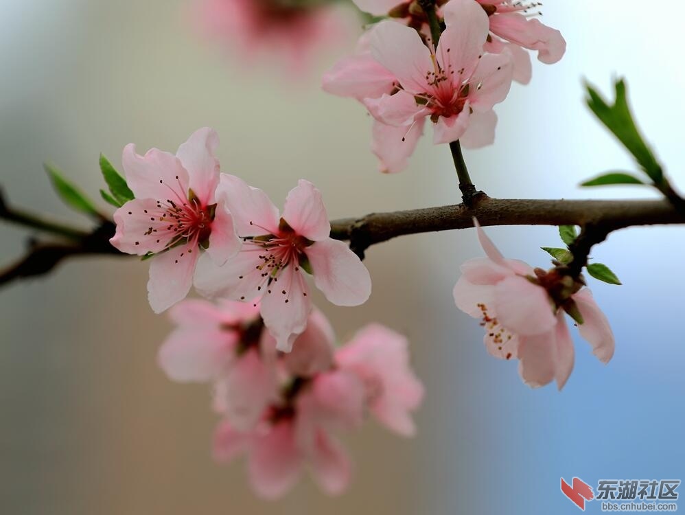 qq图片20190416235507.jpg