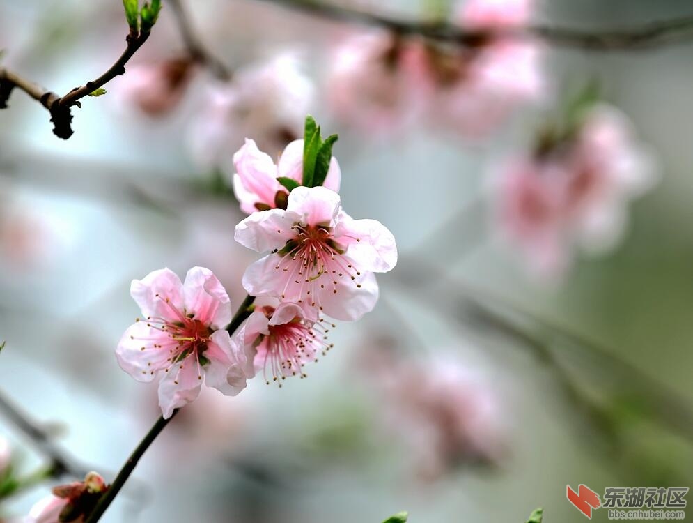 qq图片20190416235502.jpg