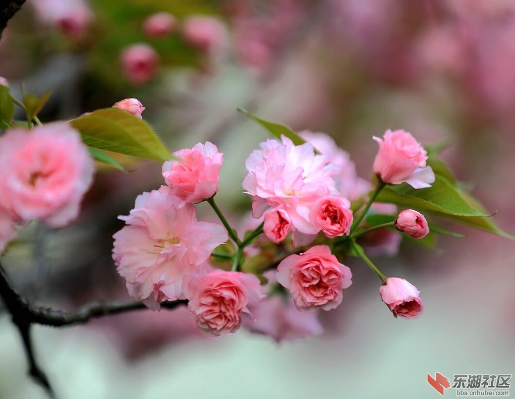 qq图片20190417003329.jpg