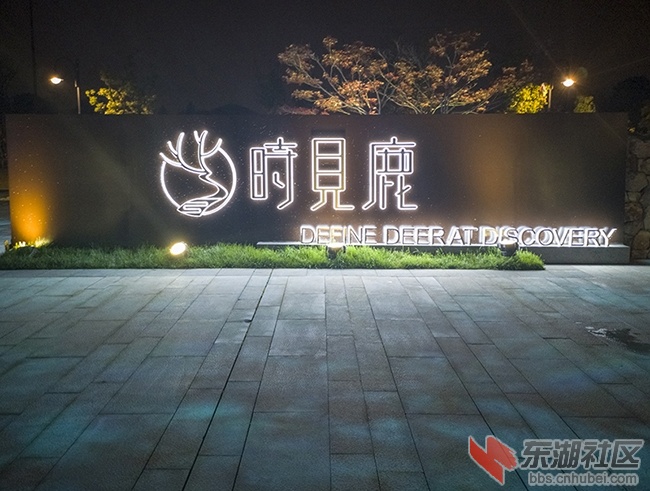 3.曾院平摄影.jpg