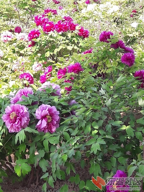 20190416_132346.jpg