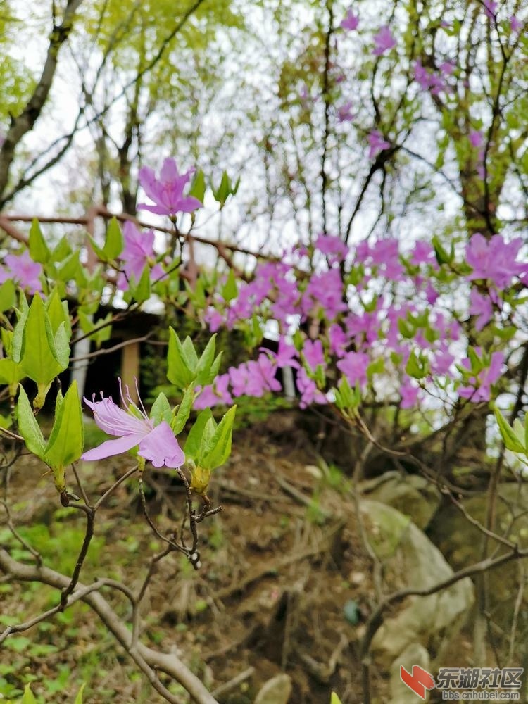 IMG_20190414_123059.jpg