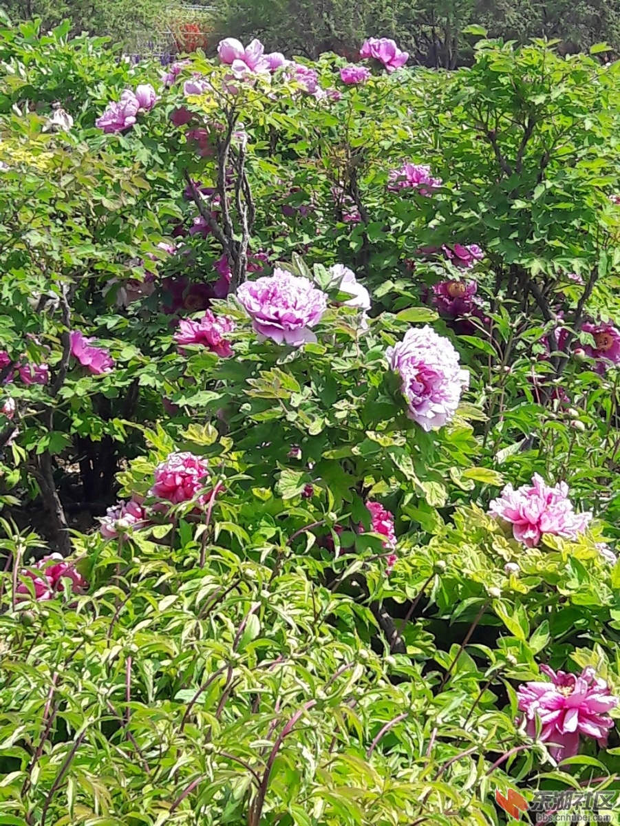 20190416_132832.jpg