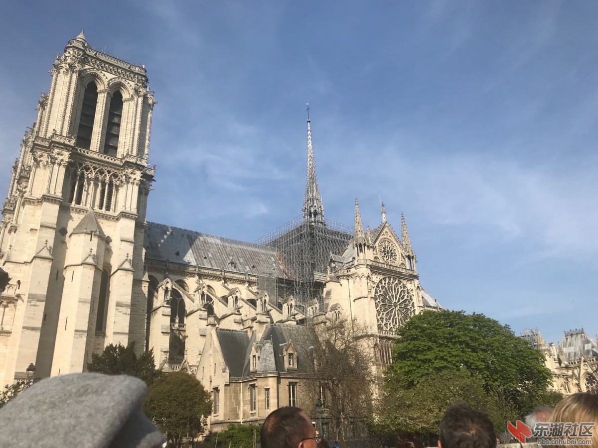 IMG_8590.JPG