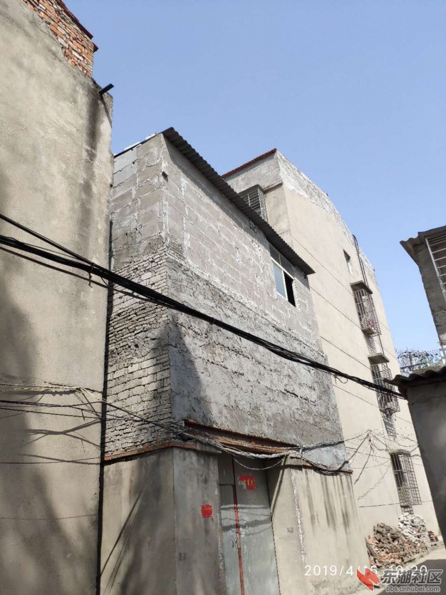 河心1组 夏群.jpg