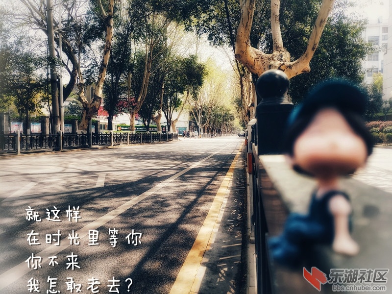 IMG_20190401_130519-02._副本.jpg