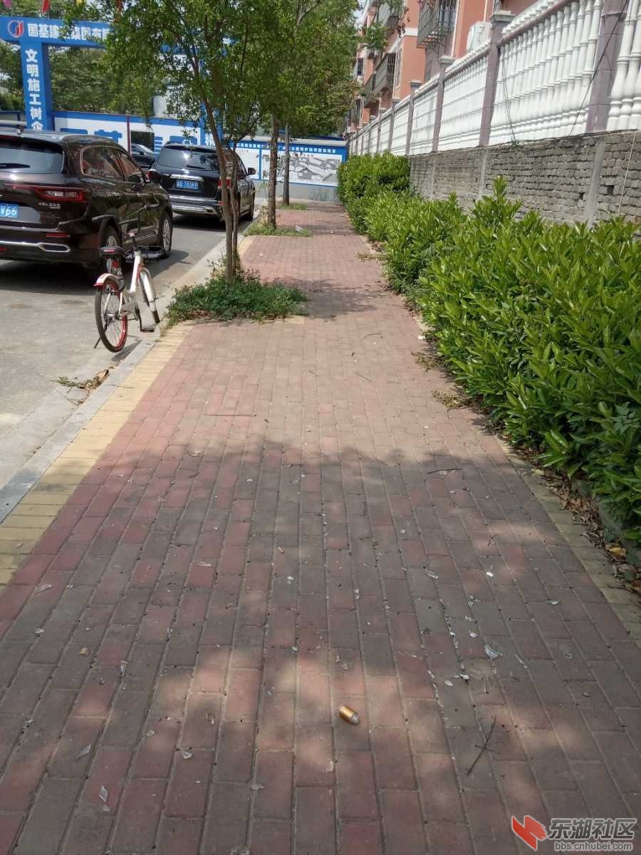 IMG_20190419_113103.jpg