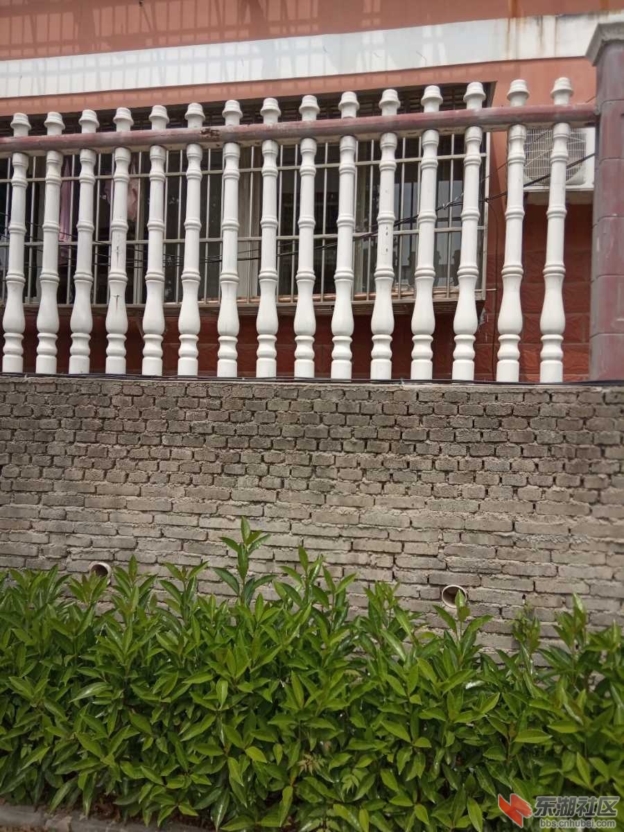 IMG_20190425_132815.jpg