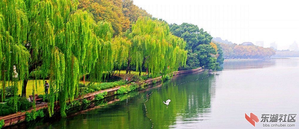 IMGP5448_conew1_副本.jpg