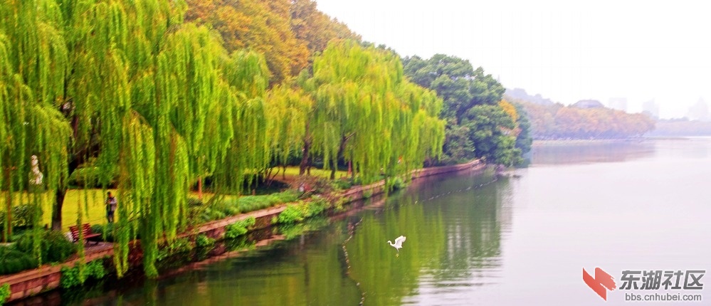 IMGP5448_conew1.jpg
