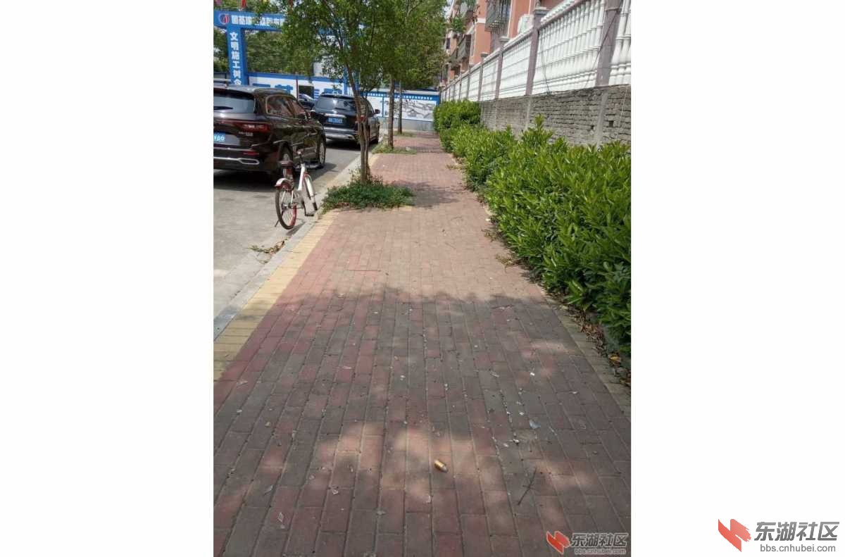 mmexport1556192165857.jpeg