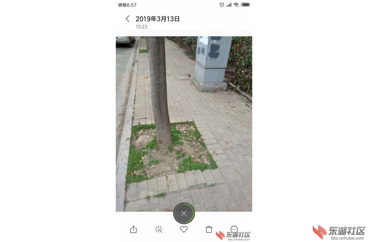 mmexport1556192174113.jpeg