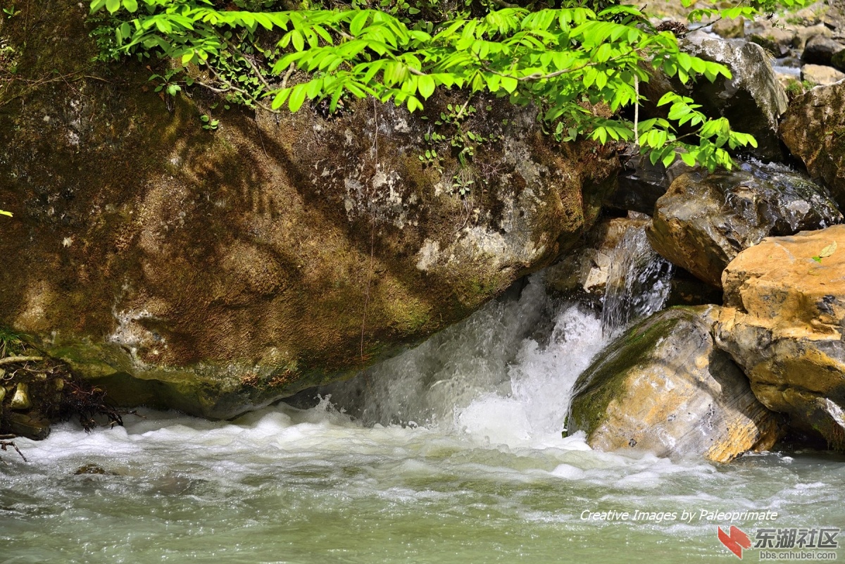 _DSC0186.jpg