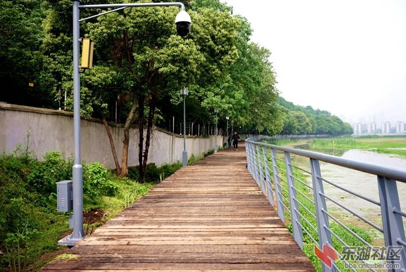 月湖環湖綠道建成試走之體驗 - 大武漢 - 東湖社區 - 荊楚網