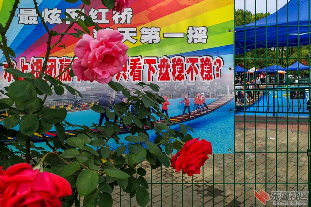 15.曾院平摄影.jpg