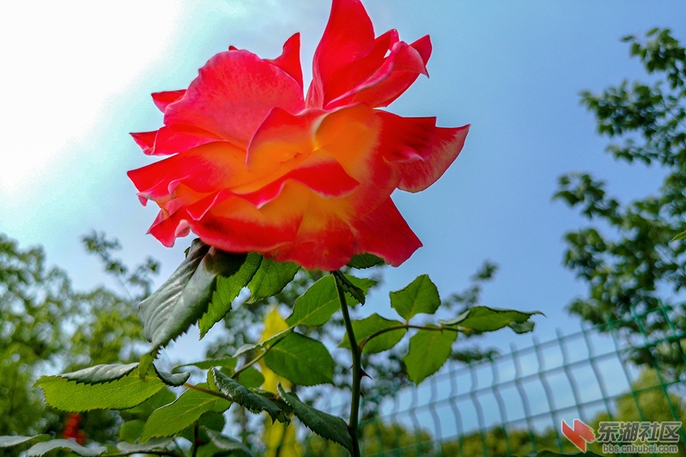 14.曾院平摄影.jpg