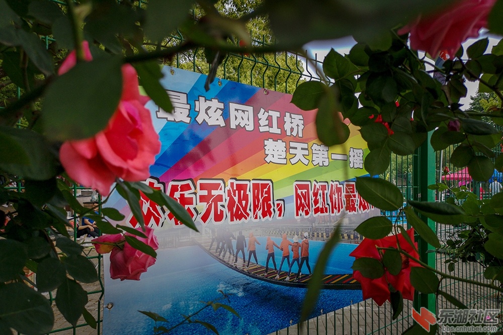 1.曾院平摄影.jpg