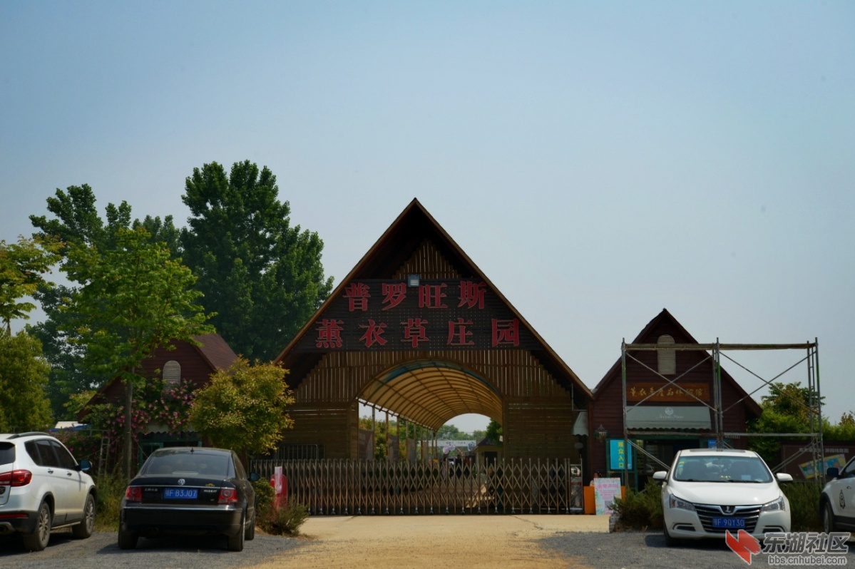 DSC_2527.jpg