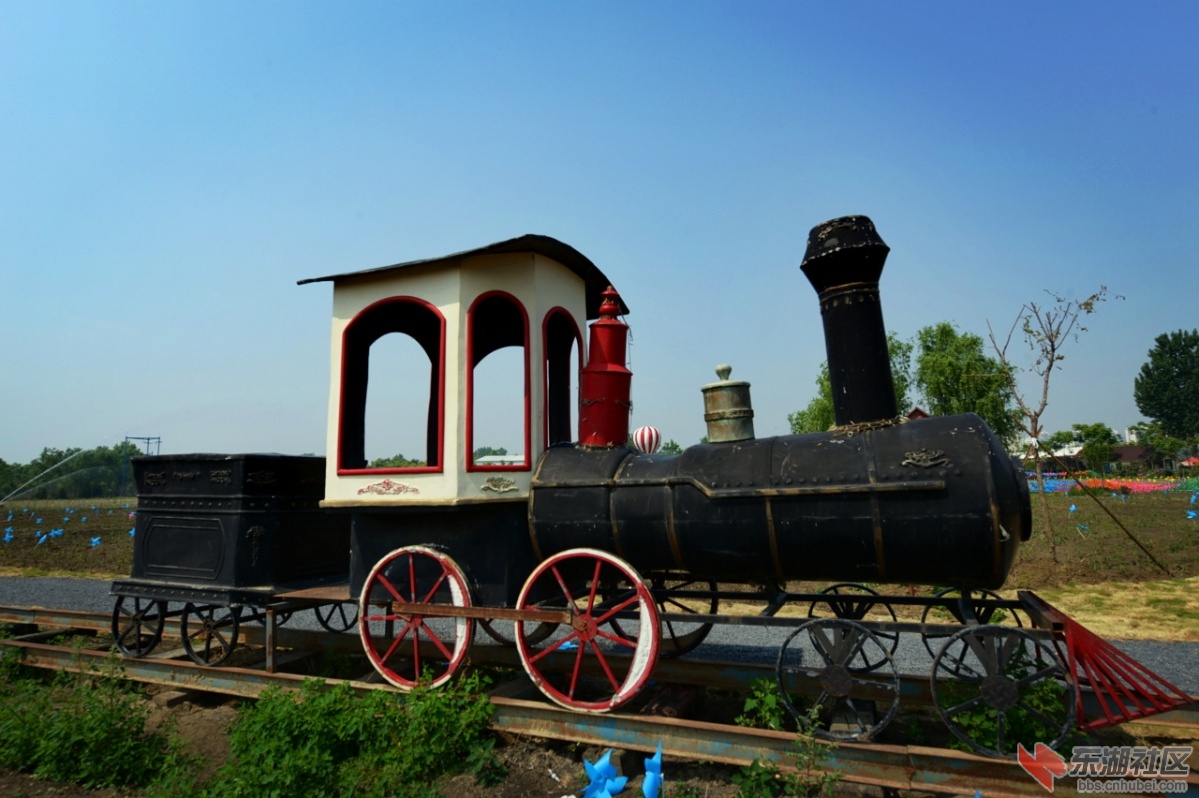 DSC_2451.jpg